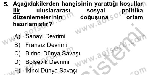 Uluslararası Sosyal Politika Dersi 2016 - 2017 Yılı 3 Ders Sınav Soruları 5. Soru