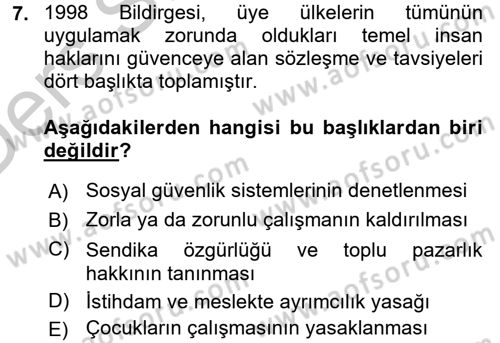 Uluslararası Sosyal Politika Dersi 2016 - 2017 Yılı 3 Ders Sınav Soruları 7. Soru