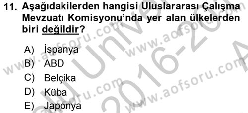 Uluslararası Sosyal Politika Dersi 2016 - 2017 Yılı (Vize) Ara Sınav Soruları 11. Soru