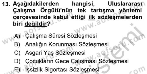 Uluslararası Sosyal Politika Dersi 2016 - 2017 Yılı (Vize) Ara Sınav Soruları 13. Soru