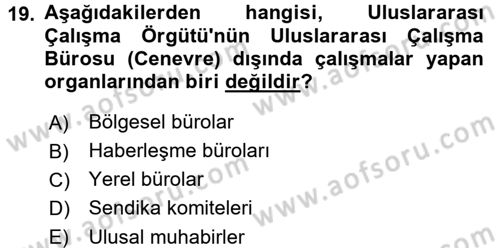 Uluslararası Sosyal Politika Dersi 2016 - 2017 Yılı (Vize) Ara Sınav Soruları 19. Soru