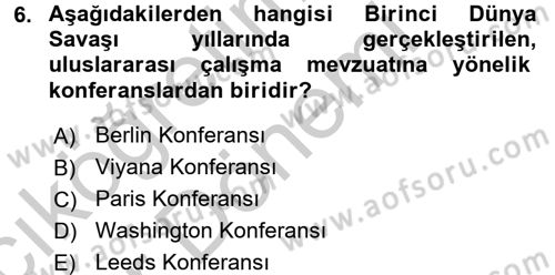 Uluslararası Sosyal Politika Dersi 2016 - 2017 Yılı (Vize) Ara Sınav Soruları 6. Soru