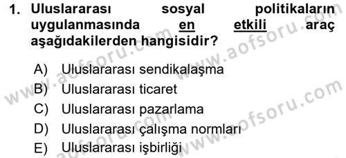 Uluslararası Sosyal Politika Dersi 2016 - 2017 Yılı (Final) Dönem Sonu Sınav Soruları 1. Soru
