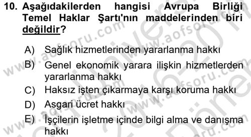 Uluslararası Sosyal Politika Dersi 2016 - 2017 Yılı (Final) Dönem Sonu Sınav Soruları 10. Soru
