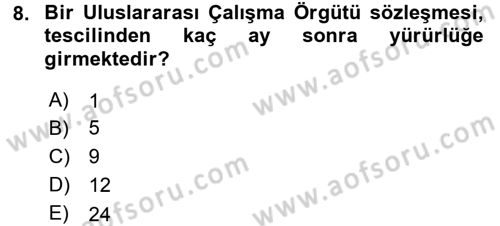 Uluslararası Sosyal Politika Dersi 2016 - 2017 Yılı (Final) Dönem Sonu Sınav Soruları 8. Soru