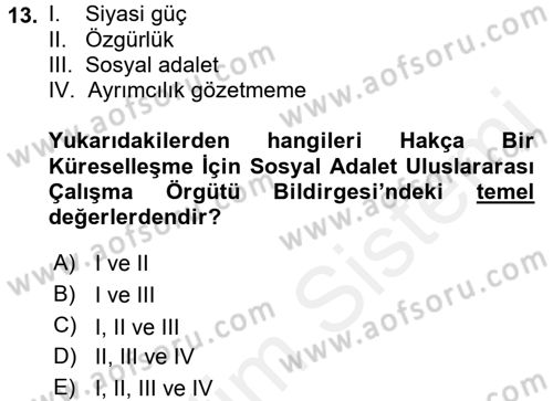 Uluslararası Sosyal Politika Dersi 2017 - 2018 Yılı 3 Ders Sınav Soruları 13. Soru