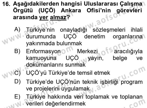 Uluslararası Sosyal Politika Dersi 2017 - 2018 Yılı 3 Ders Sınav Soruları 16. Soru