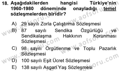 Uluslararası Sosyal Politika Dersi 2017 - 2018 Yılı 3 Ders Sınav Soruları 18. Soru