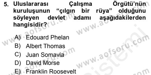 Uluslararası Sosyal Politika Dersi 2017 - 2018 Yılı 3 Ders Sınav Soruları 5. Soru
