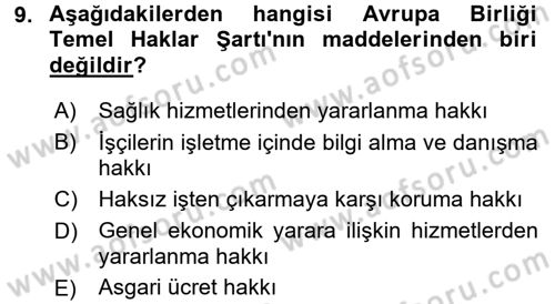 Uluslararası Sosyal Politika Dersi 2017 - 2018 Yılı 3 Ders Sınav Soruları 9. Soru