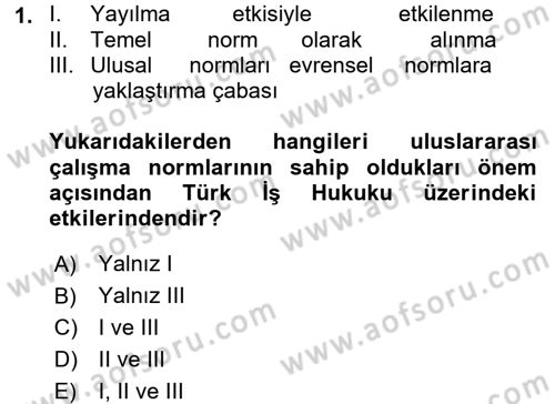 Uluslararası Sosyal Politika Dersi 2017 - 2018 Yılı (Vize) Ara Sınav Soruları 1. Soru