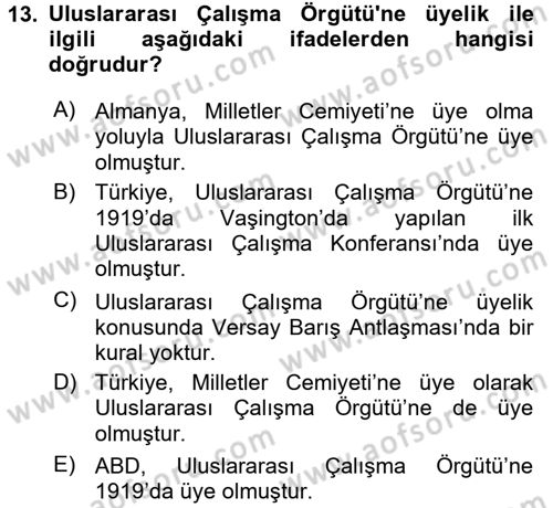 Uluslararası Sosyal Politika Dersi 2017 - 2018 Yılı (Vize) Ara Sınav Soruları 13. Soru