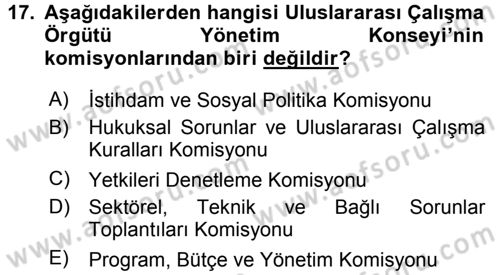 Uluslararası Sosyal Politika Dersi 2017 - 2018 Yılı (Vize) Ara Sınav Soruları 17. Soru