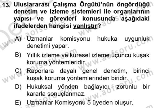 Uluslararası Sosyal Politika Dersi 2018 - 2019 Yılı 3 Ders Sınavı 13. Soru