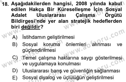 Uluslararası Sosyal Politika Dersi 2018 - 2019 Yılı 3 Ders Sınavı 18. Soru