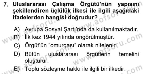 Uluslararası Sosyal Politika Dersi 2018 - 2019 Yılı 3 Ders Sınav Soruları 7. Soru