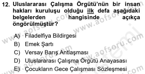 Uluslararası Sosyal Politika Dersi 2018 - 2019 Yılı (Vize) Ara Sınavı 12. Soru