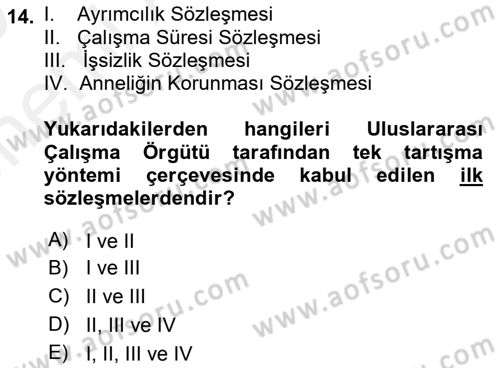 Uluslararası Sosyal Politika Dersi 2018 - 2019 Yılı (Vize) Ara Sınav Soruları 14. Soru