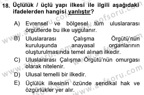 Uluslararası Sosyal Politika Dersi 2018 - 2019 Yılı (Vize) Ara Sınav Soruları 18. Soru