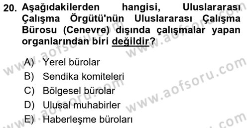 Uluslararası Sosyal Politika Dersi 2018 - 2019 Yılı (Vize) Ara Sınav Soruları 20. Soru