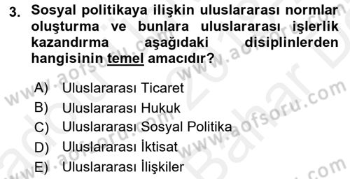 Uluslararası Sosyal Politika Dersi 2018 - 2019 Yılı (Vize) Ara Sınavı 3. Soru