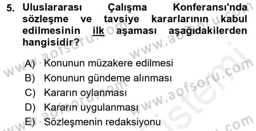 Uluslararası Sosyal Politika Dersi 2018 - 2019 Yılı (Vize) Ara Sınavı 5. Soru