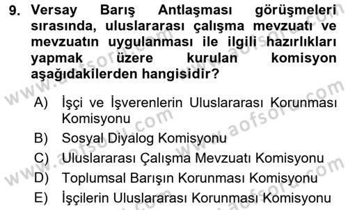 Uluslararası Sosyal Politika Dersi 2018 - 2019 Yılı (Vize) Ara Sınav Soruları 9. Soru