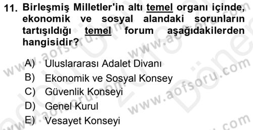 Uluslararası Sosyal Politika Dersi 2018 - 2019 Yılı (Final) Dönem Sonu Sınav Soruları 11. Soru