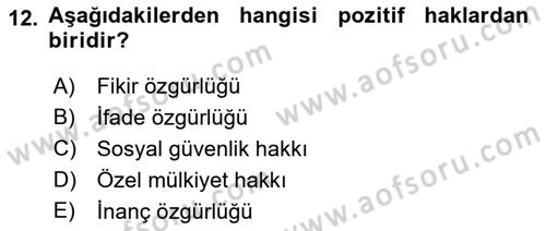 Uluslararası Sosyal Politika Dersi 2018 - 2019 Yılı (Final) Dönem Sonu Sınav Soruları 12. Soru
