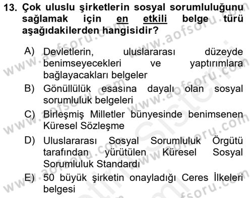 Uluslararası Sosyal Politika Dersi 2018 - 2019 Yılı (Final) Dönem Sonu Sınav Soruları 13. Soru