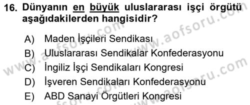 Uluslararası Sosyal Politika Dersi 2018 - 2019 Yılı (Final) Dönem Sonu Sınav Soruları 16. Soru