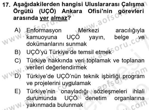 Uluslararası Sosyal Politika Dersi 2018 - 2019 Yılı (Final) Dönem Sonu Sınav Soruları 17. Soru