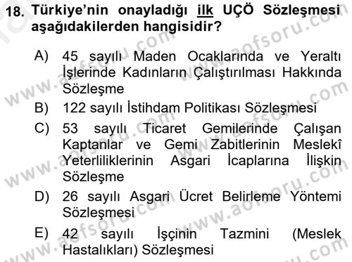 Uluslararası Sosyal Politika Dersi 2018 - 2019 Yılı (Final) Dönem Sonu Sınav Soruları 18. Soru