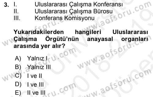 Uluslararası Sosyal Politika Dersi 2018 - 2019 Yılı (Final) Dönem Sonu Sınav Soruları 3. Soru