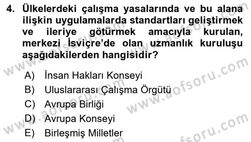 Uluslararası Sosyal Politika Dersi 2018 - 2019 Yılı (Final) Dönem Sonu Sınav Soruları 4. Soru