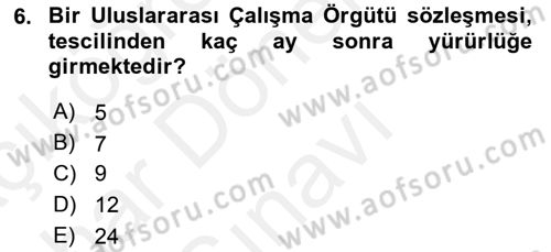 Uluslararası Sosyal Politika Dersi 2018 - 2019 Yılı (Final) Dönem Sonu Sınav Soruları 6. Soru