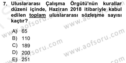 Uluslararası Sosyal Politika Dersi 2018 - 2019 Yılı (Final) Dönem Sonu Sınav Soruları 7. Soru