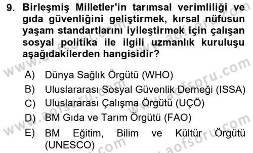 Uluslararası Sosyal Politika Dersi 2018 - 2019 Yılı (Final) Dönem Sonu Sınav Soruları 9. Soru