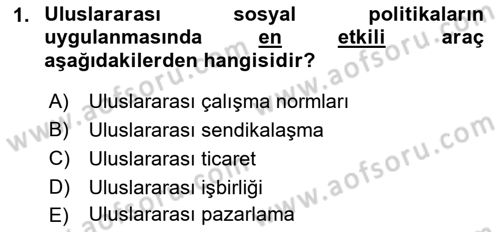 Uluslararası Sosyal Politika Dersi 2018 - 2019 Yılı Yaz Okulu Sınav Soruları 1. Soru