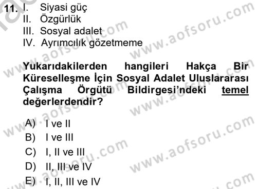 Uluslararası Sosyal Politika Dersi 2018 - 2019 Yılı Yaz Okulu Sınavı 11. Soru