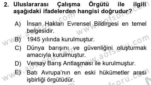 Uluslararası Sosyal Politika Dersi 2018 - 2019 Yılı Yaz Okulu Sınav Soruları 2. Soru