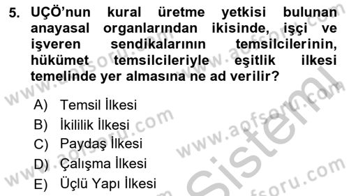 Uluslararası Sosyal Politika Dersi 2018 - 2019 Yılı Yaz Okulu Sınav Soruları 5. Soru