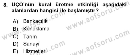 Uluslararası Sosyal Politika Dersi 2018 - 2019 Yılı Yaz Okulu Sınav Soruları 8. Soru