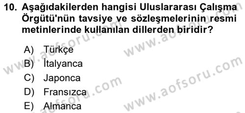 Uluslararası Sosyal Politika Dersi 2020 - 2021 Yılı Yaz Okulu Sınav Soruları 10. Soru