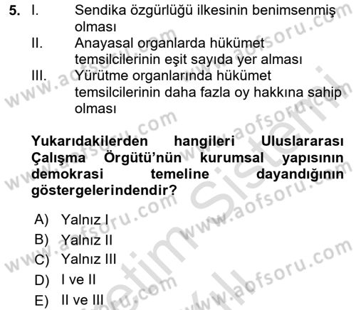 Uluslararası Sosyal Politika Dersi 2020 - 2021 Yılı Yaz Okulu Sınav Soruları 5. Soru