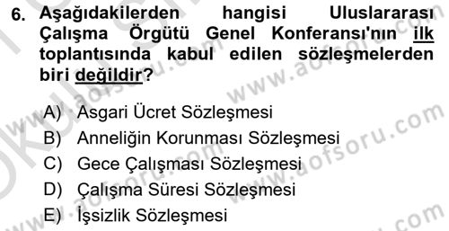 Uluslararası Sosyal Politika Dersi 2020 - 2021 Yılı Yaz Okulu Sınav Soruları 6. Soru