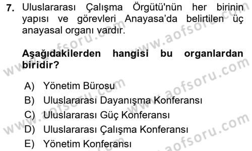 Uluslararası Sosyal Politika Dersi 2020 - 2021 Yılı Yaz Okulu Sınav Soruları 7. Soru