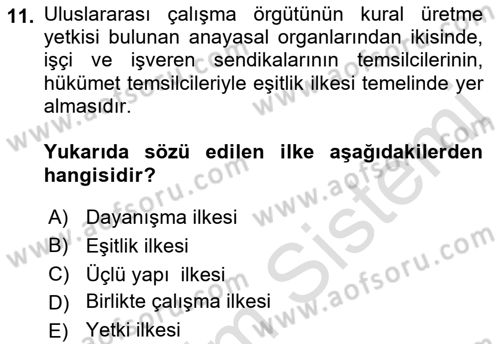 Uluslararası Sosyal Politika Dersi 2021 - 2022 Yılı (Vize) Ara Sınav Soruları 11. Soru