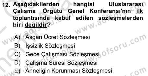 Uluslararası Sosyal Politika Dersi 2021 - 2022 Yılı (Vize) Ara Sınav Soruları 12. Soru