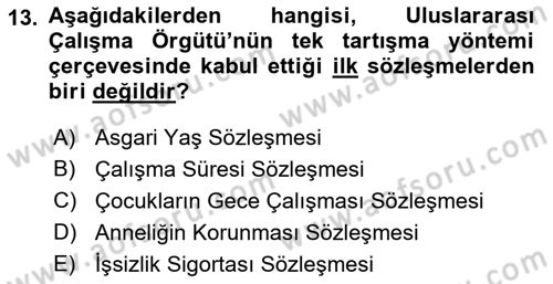 Uluslararası Sosyal Politika Dersi 2021 - 2022 Yılı (Vize) Ara Sınav Soruları 13. Soru